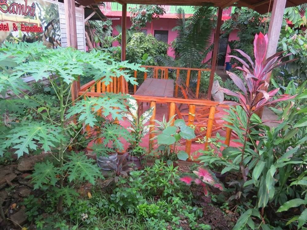 Tambopata Hostel Bambu Puerto Maldonado Eksteriør billede