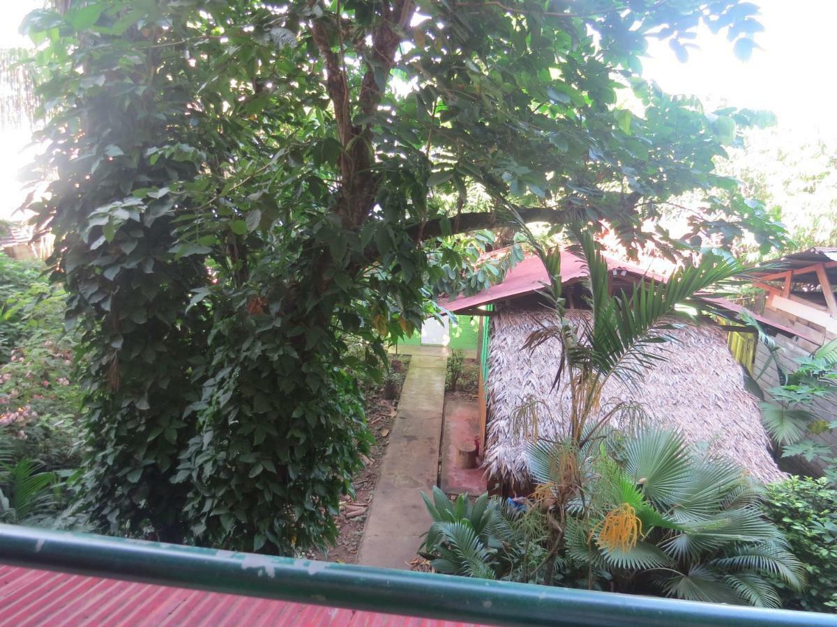 Tambopata Hostel Bambu Puerto Maldonado Eksteriør billede